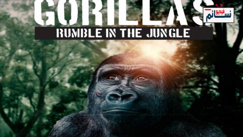 فيلم Gorillas: Rumble in the Jungle 2020 مترجم اون لاين - HD