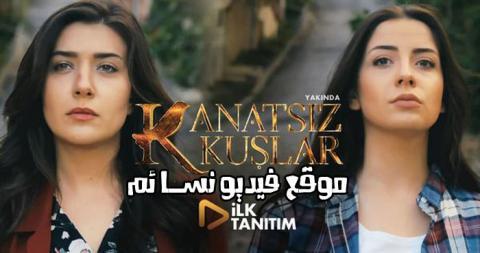 مسلسل طيور بلا اجنحة الحلقة 39 التاسعة والثلاثون مترجمة HD