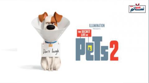 فيلم The Secret Life of Pets 2 2019 مترجم اون لاين - HD