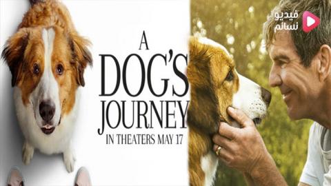 فيلم A Dog's Journey 2019 مترجم اون لاين - HD