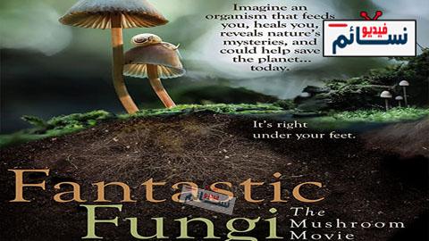 فيلم Fantastic Fungi 2019 مترجم اون لاين - HD