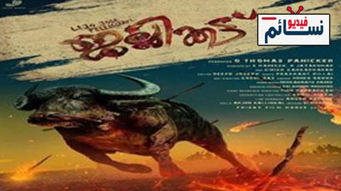 فيلم Jallikattu 2019 مترجم اون لاين - HD