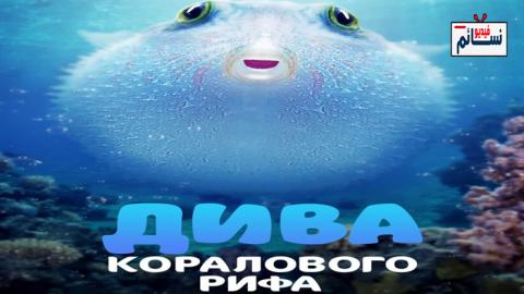 فيلم Puff: Wonders of the Reef 2021 مترجم اون لاين - HD